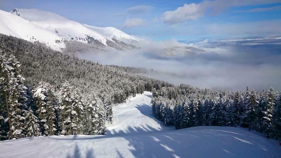 Fortuna Luxury Apartment Bansko Exterior foto