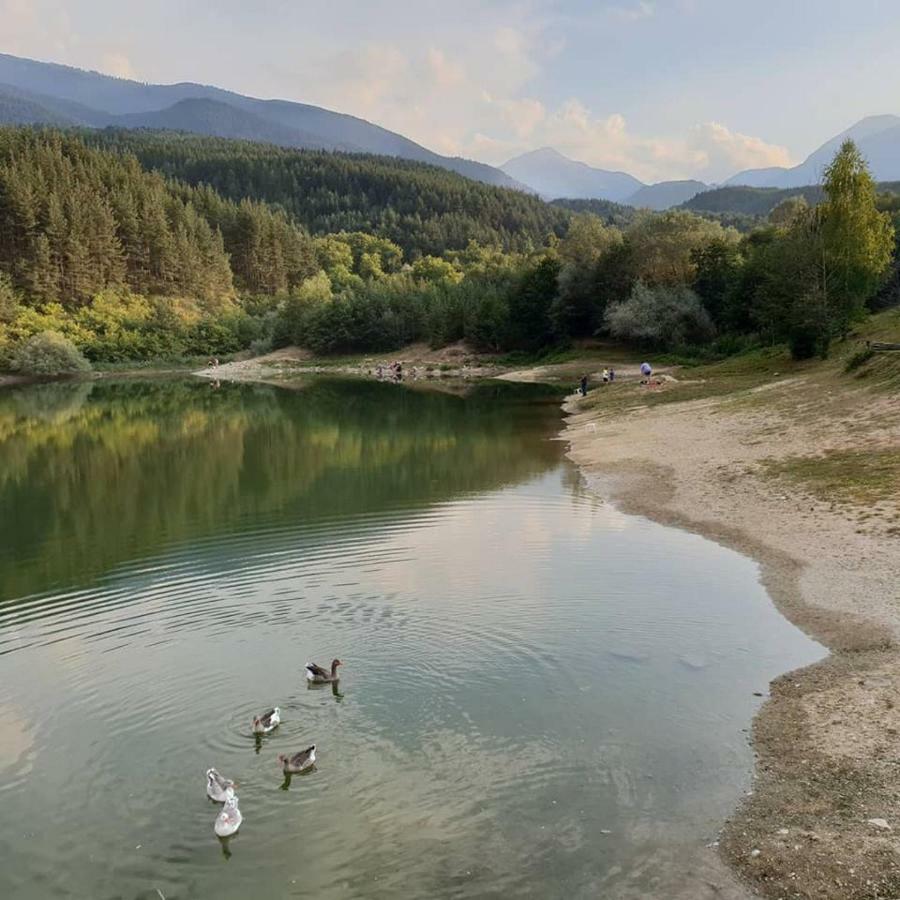 Fortuna Luxury Apartment Bansko Exterior foto